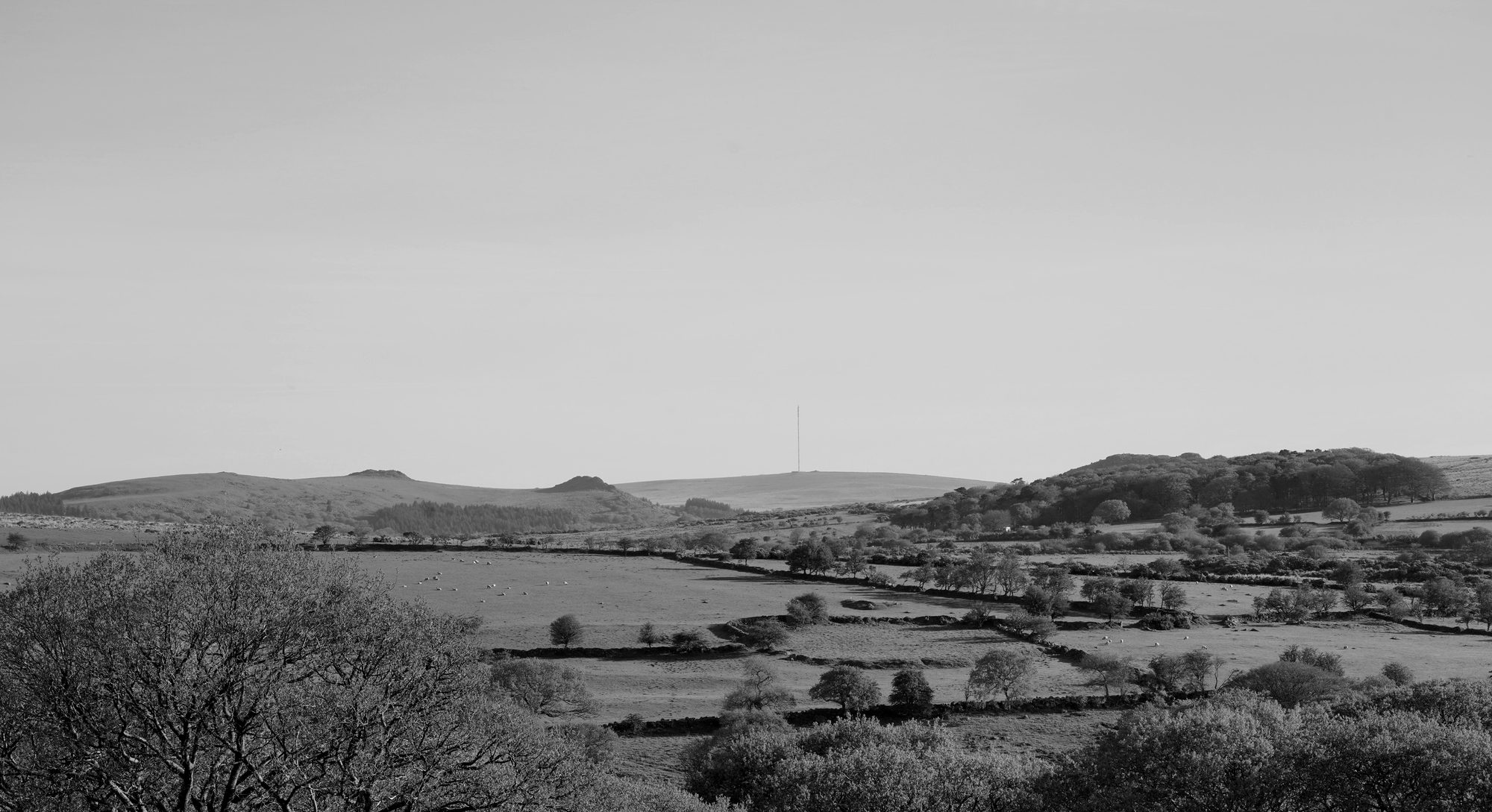 A view across Dartmoor with fields and sheep, the country we work from