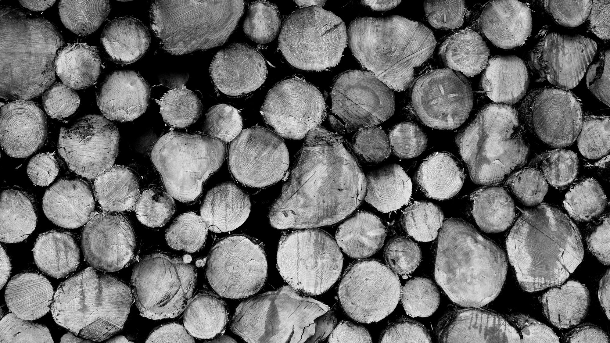 A close view of stacked timber, an image of the substance underneath the work
